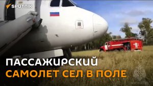 Пассажирский самолет сел в пшеничном поле в Сибири ―  видео с места посадки