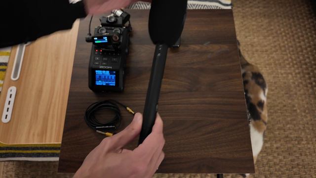 Wireless Boom: Using DJI Mic 2 with Sennheiser MKE 600 and Any Shotgun Mic | Step-by-Step Tutorial