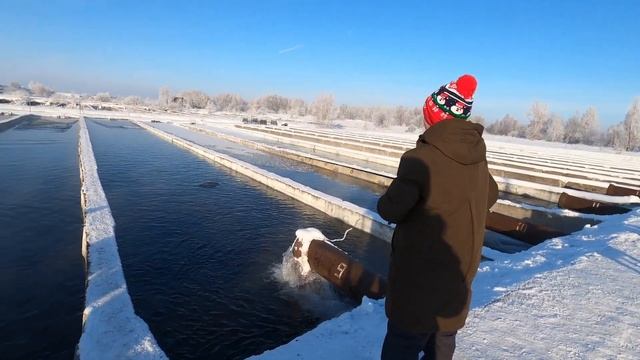Ловля форели зимой,семейный отдых,рыбалка для всех!от таких поклёвок захватывает дух!