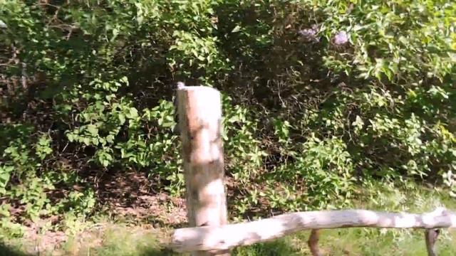 Гуляем в лесу, санаторий, поляна ландышей, набрали воды смотреть онлайн