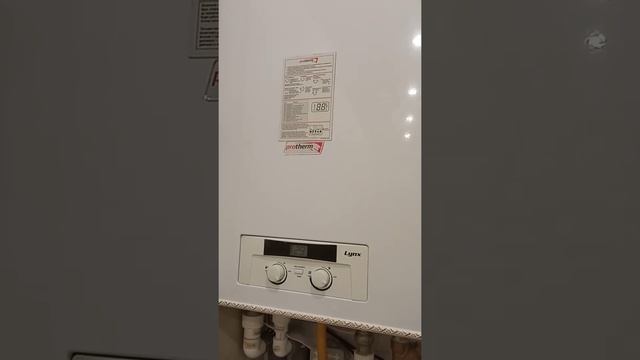 Посторонний шум при включении ГВС на газ. котле Proterm Lynx 24