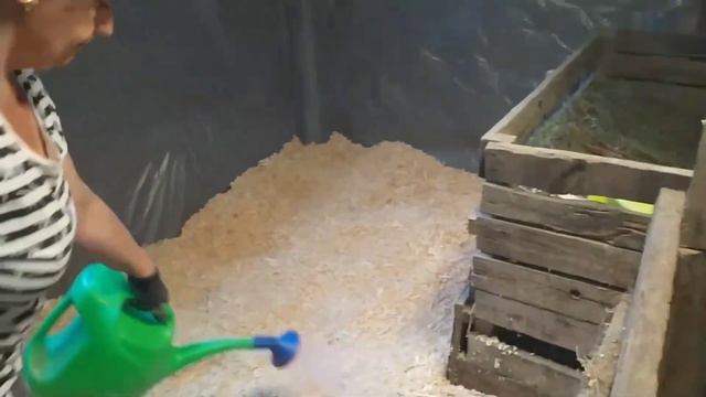 Запускаем Biolatic. смотреть онлайн