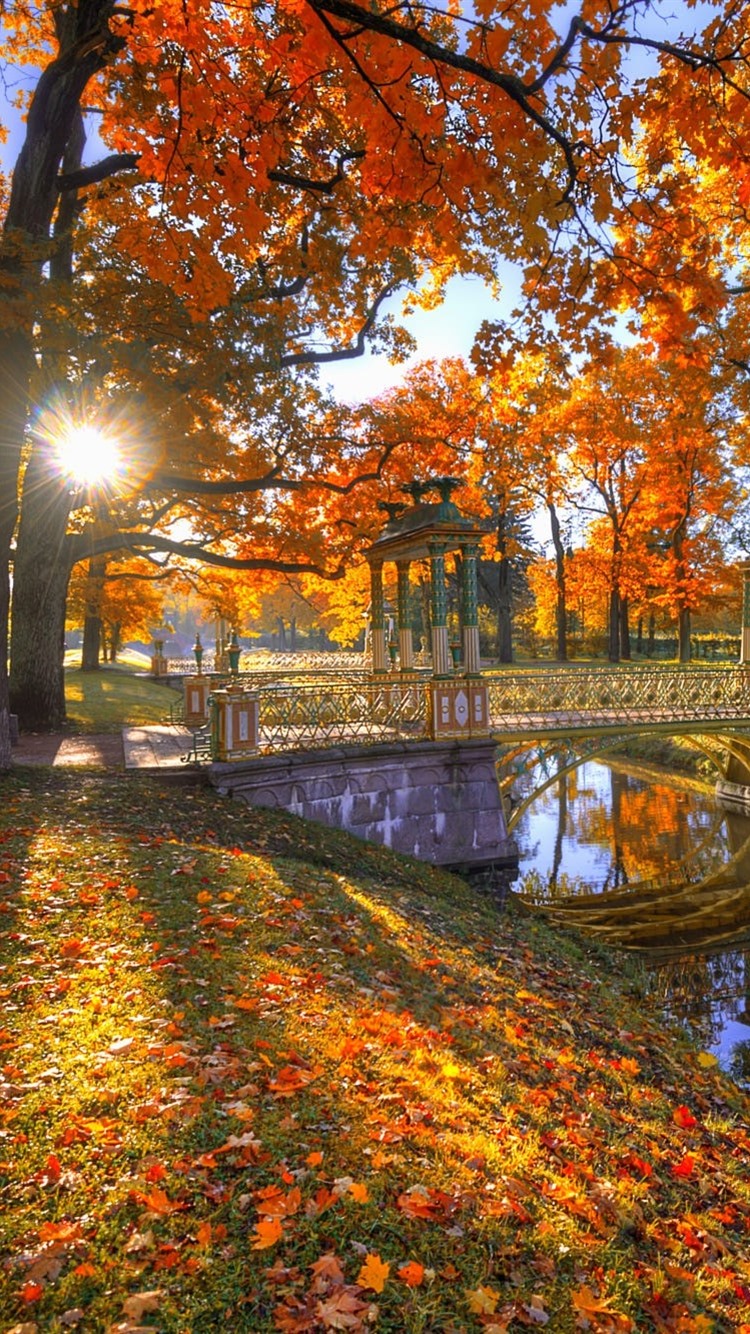 🍂 С добрым осенним утром, днём