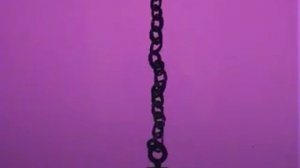 Ноев ковчег/Arche Noah (2008)