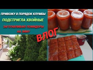 Влог/Делаю помидоры в собственном соку/Привожу в порядок клумбы/Подстригла хвойные@SubTatiana