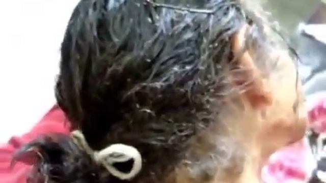 Вши с размером в муравей смотреть онлайн