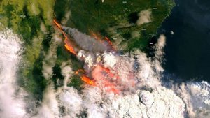 Кадры из космоса показали масштабы лесных пожаров в Австралии | Images from space