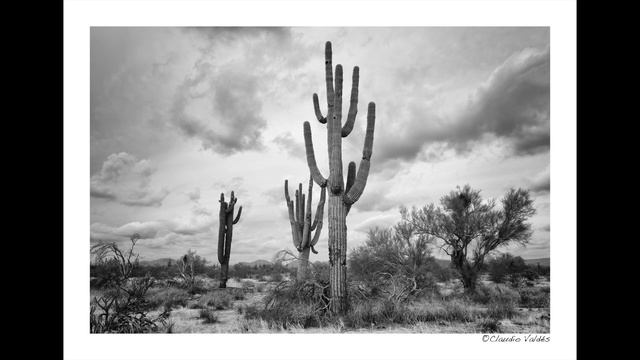 Leica Q2 Monochrom - First Images 4K смотреть онлайн