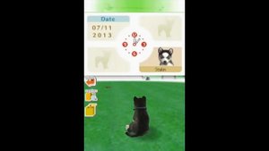 Anti-Piracy Screen Games