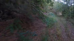 BMW F 650 GS DAKAR OFF-ROAD PAPRADISTE