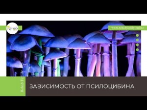 Псилоцибин _ Действие на организм _ Симптомы употребления _ Диагностика _ Лечение.mp4