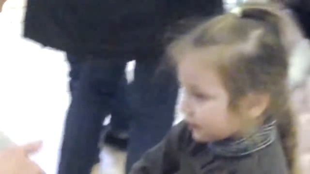 8(965)380-13-11. Забавный кролик в зоопарке смотреть онлайн