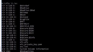 NTFS EFS Decryption 01 - Extracting attributes from NTFS file