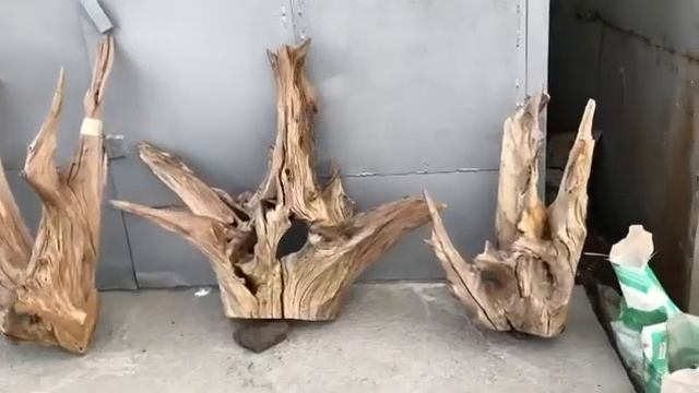 Дубовые Коряги для аквариума смотреть онлайн