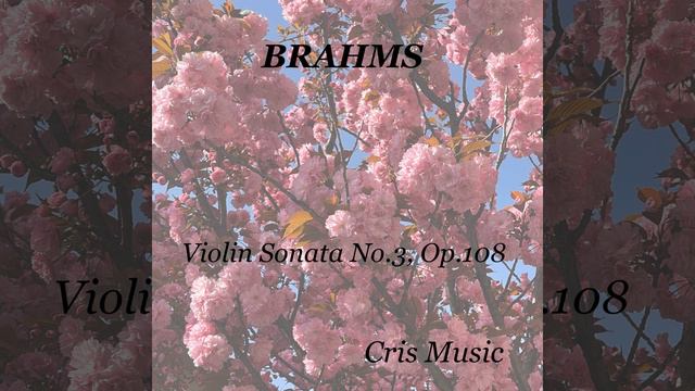 Violin Sonata No.3, Op.108: 1. Allegro смотреть онлайн