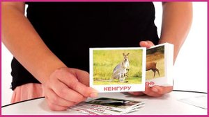 Вундеркинд с пеленок  Набор обучающих карточек Дикие животные 013)