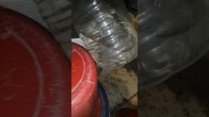Как залить воду в машину
