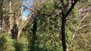 ЯЛТА. САНАТОРИЙ КИРОВА/ я дошла до него/ первое впечатление от крымской здравницы.