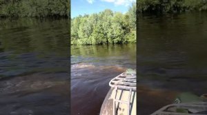 На Банзонке Сокол Трофи