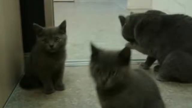 Маленькие фото смотреть онлайн