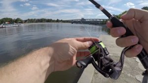 Серебряный ручей TAIFUN Rod - F 20 YEARS 802 2-14