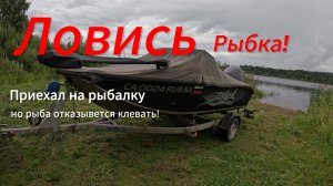 Эх, ловись рыбка!