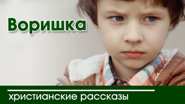 ? ОЧЕНЬ интересный рассказ- «Воришка»
