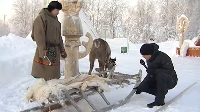 Оленья упряжка. Всё, что вы хотели о ней знать.