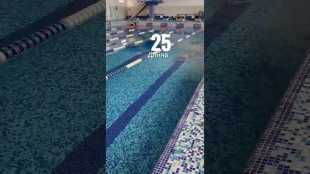 Тебе страшно плавать на такой глубине? смотреть онлайн