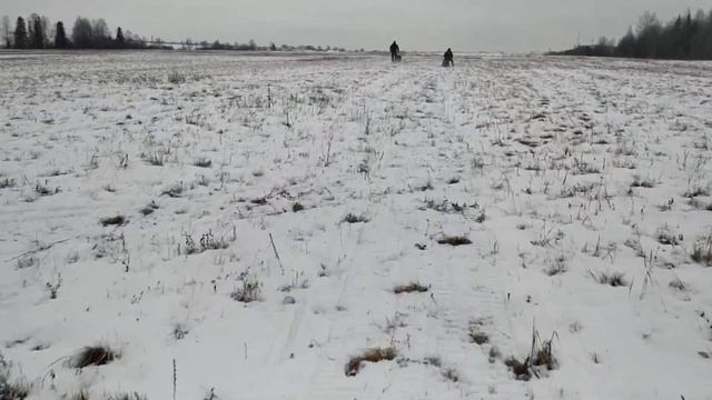 Два снегохода и буксировщик смотреть онлайн