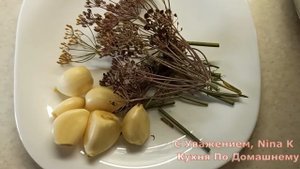 Грузди. Как засолить Грузди в банке! Хрустящие Грибы Грузди можно кушать через 5 дней!