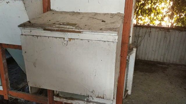 Возможно ли совместное содержание кроликов и кур? Сколько живут крольчихи? смотреть онлайн