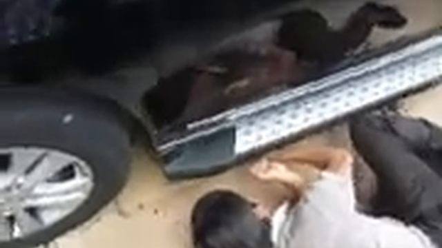 установка порогов на Hover, Haval H6 смотреть онлайн