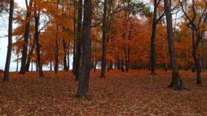 К юбилею Б.А.Ахмадулиной.