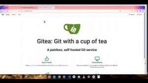 Kubernetes : How to install and configure Private Gitea Server (Gitea) (Part 8)