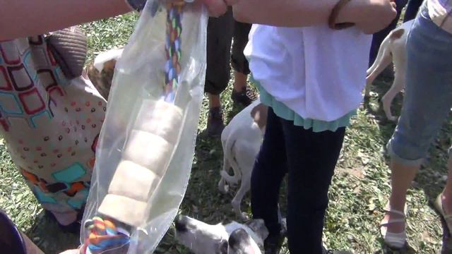 Приз Речки в лотерее смотреть онлайн