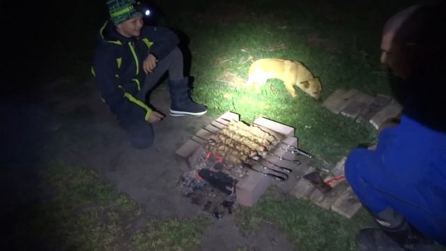 Рыбалка на Кубани 2020. Рыбалка в Темрюкском районе 2020 ЮМС Курчанская смотреть онлайн