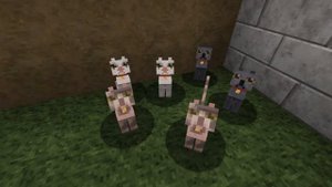 1 Hour Sound of 6 Minecraft Cats...