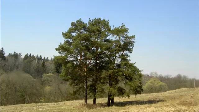 Природа Подмосковья смотреть онлайн