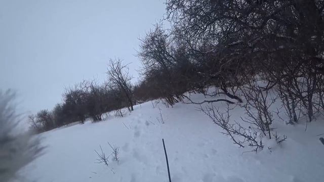 Охота с русской гончей по зайцу 2022г 10 смотреть онлайн