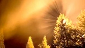 Я тебе, конечно, верю