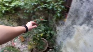 Остров Лантау в Гонконге