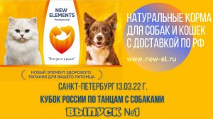 Кубок России по танцам с собаками (выпуск №1)