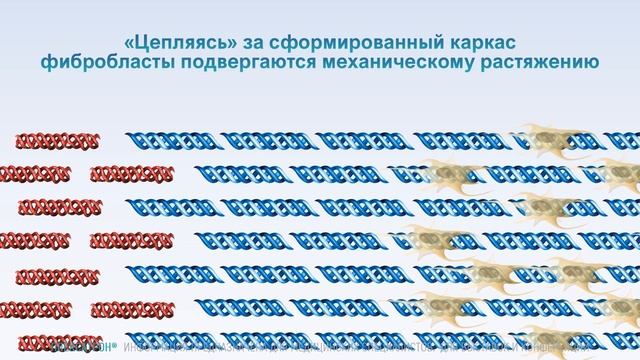 Плексатрон механизм действия. смотреть онлайн