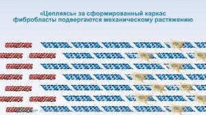 Плексатрон механизм действия.