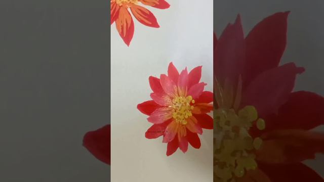 how to draw😱 flowers in great technique💐~Easy Beautiful||#art #beautiful #satisfying #flower