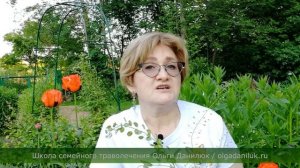 Волшебные пастушья сумка и ярутка