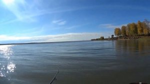 ЛОВЛЯ СУДАКА! на спиннинг осенью на реке ОБЬ.