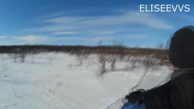 Промысел белой куропатки смотреть онлайн