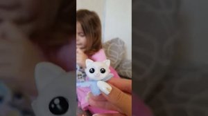 распаковка коробочки Котосад.  распаковка свит бокс